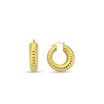 Golden Glow Earring