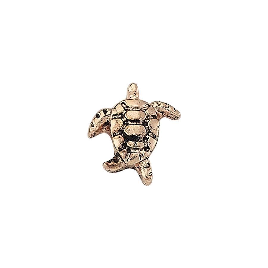 Caretta Caretta - Rose
