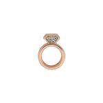 Slider Charm Yüzük - Rose