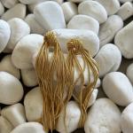 Golden Danglin Earring